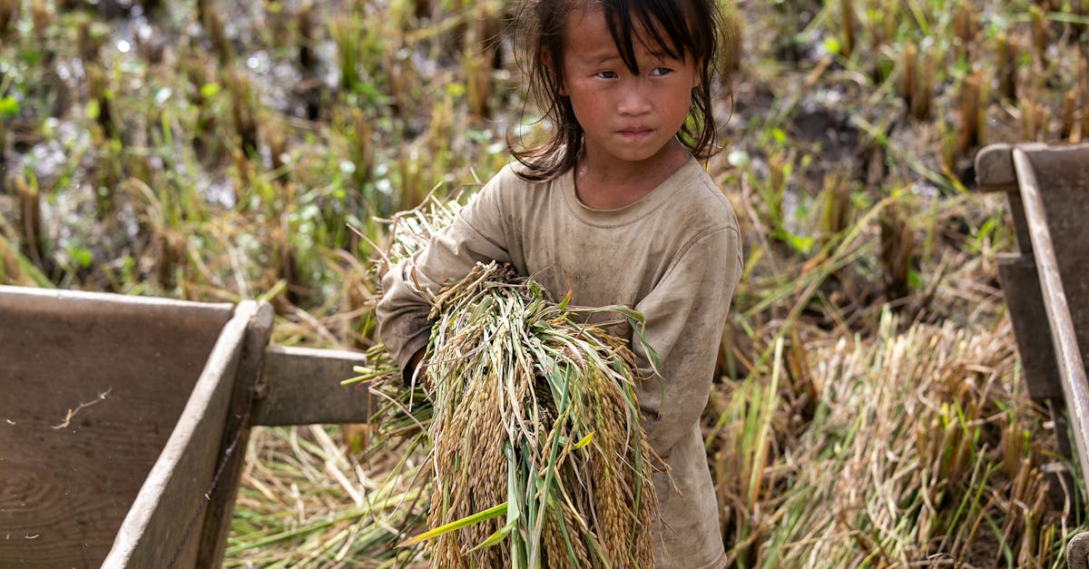 découvrez notre service de garderie : un environnement sûr et stimulant pour le développement et l’épanouissement de vos enfants. encadrement professionnel et activités adaptées à chaque âge.