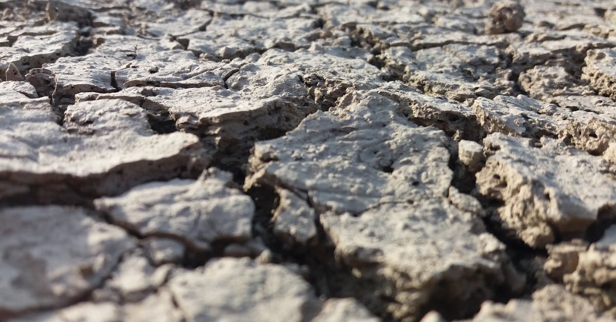 découvrez les causes, symptômes et solutions pour la déshydratation. apprenez comment prévenir et traiter efficacement le manque d'eau dans l'organisme.