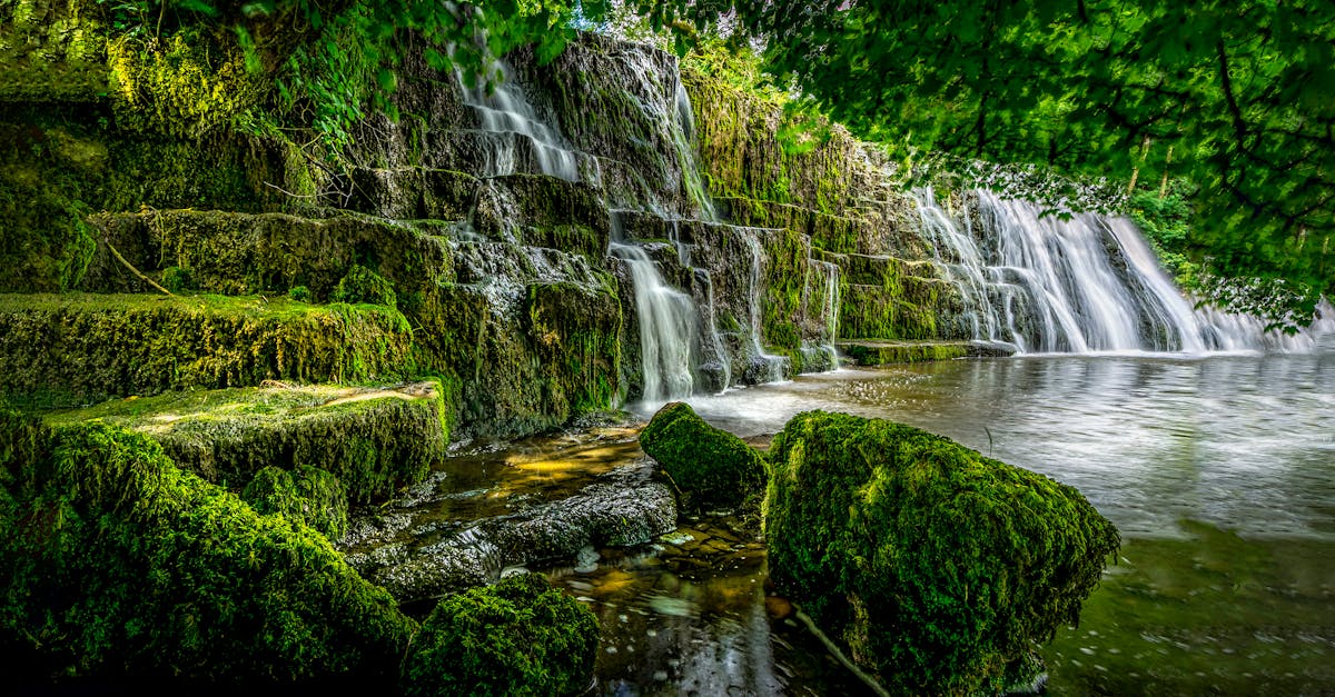 découvrez tout sur les chutes d'eau (« falls ») : leur formation, les plus célèbres à travers le monde et des conseils pour les visiter en toute sécurité.