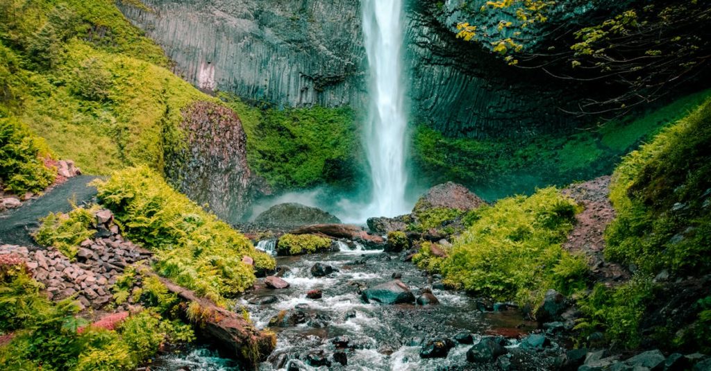 découvrez tout ce qu'il faut savoir sur les 'falls' : signification, usages courants et conseils pour éviter les chutes au quotidien. explications claires et complètes.