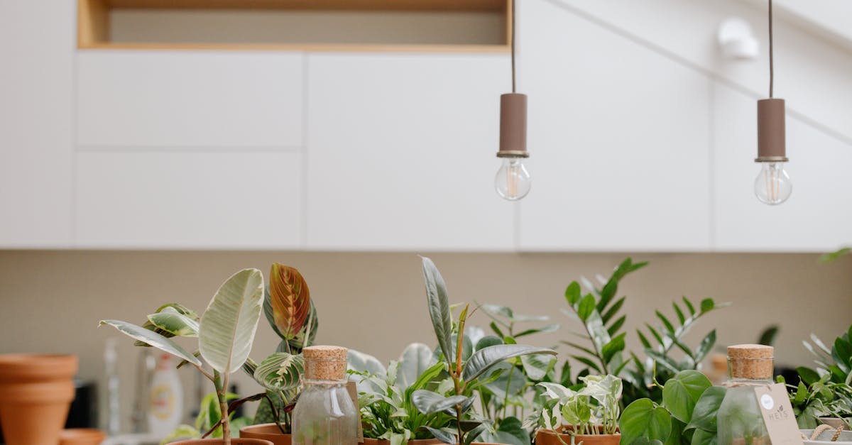 découvrez des conseils pratiques et astuces pour réussir votre jardinage à la maison, cultivez facilement vos plantes, légumes et fleurs même en ville. transformez votre espace en un havre de verdure !