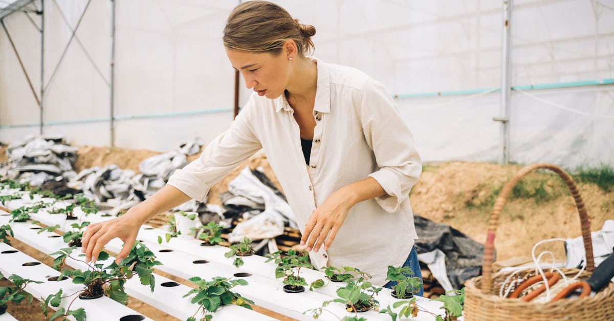 découvrez tous nos conseils et astuces pour réussir votre jardinage à la maison. que vous soyez débutant ou passionné, apprenez à cultiver facilement vos plantes, légumes et fleurs chez vous.