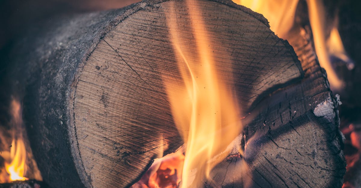 découvrez l'incinération : une méthode de traitement des déchets par combustion contrôlée, permettant de réduire leur volume tout en produisant de l'énergie. avantages, enjeux environnementaux et fonctionnement détaillé.