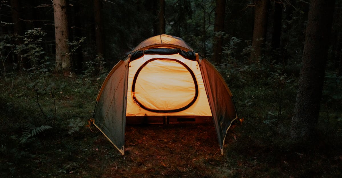découvrez ce qu'est un night shelter : un refuge nocturne offrant un abri temporaire, sécurité et assistance aux personnes sans domicile fixe. informations pratiques, fonctionnement et conseils pour accéder à ces services.