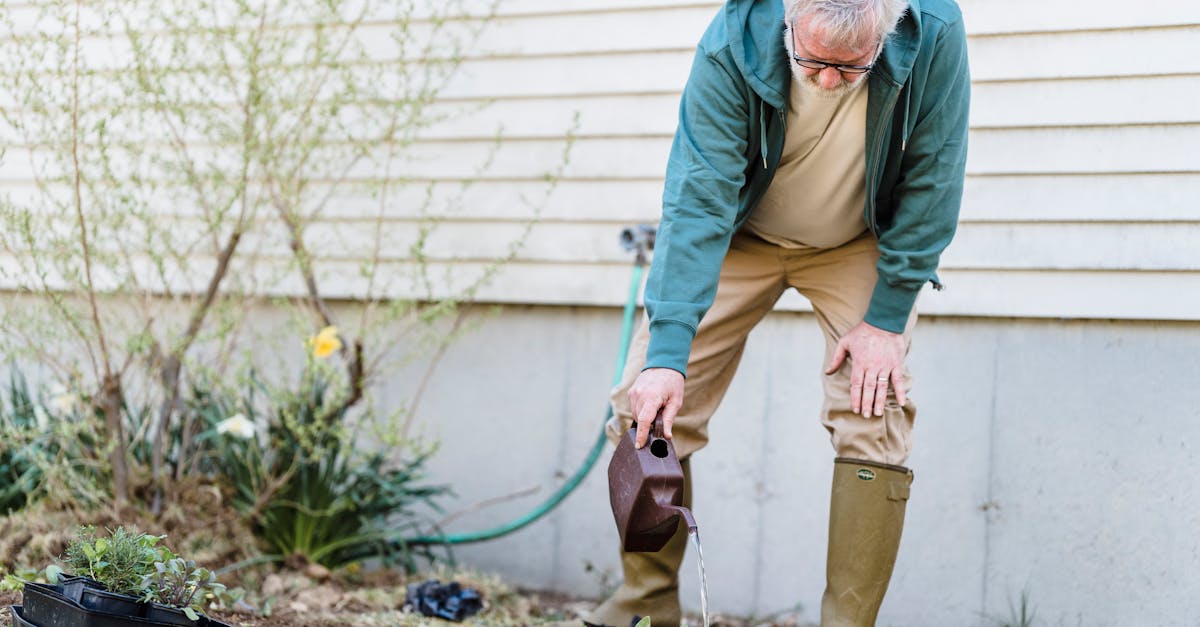 découvrez les senior villages, des résidences conviviales et sécurisées, conçues spécialement pour le bien-être et l'autonomie des seniors. profitez d'un cadre de vie agréable et de nombreux services adaptés.