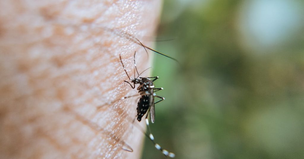 découvrez comment la transmission des espèces se produit, les différents mécanismes impliqués, et l'impact sur la biodiversité et la santé humaine. explications claires sur le phénomène de transmission interespèces.