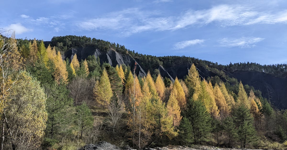 découvrez tout ce qu'il faut savoir sur la succession : démarches, partage des biens, droits des héritiers et conseils pour préparer ou régler une succession en toute sérénité.