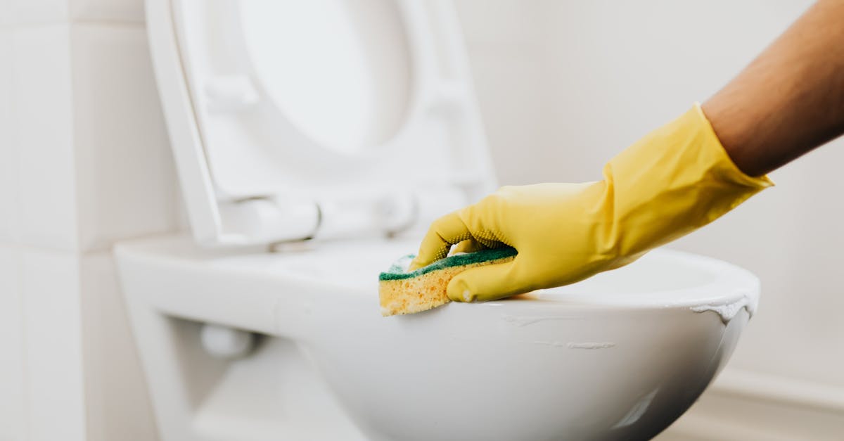 découvrez le rehausseur de toilette, une solution pratique pour faciliter l’accès et améliorer le confort des personnes à mobilité réduite. idéal pour plus de sécurité et d’autonomie au quotidien.