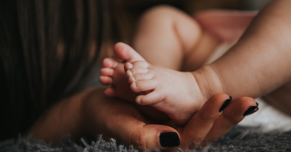 découvrez les universal legs, des pieds polyvalents et robustes adaptés à tous types de meubles pour une installation facile et un style moderne.